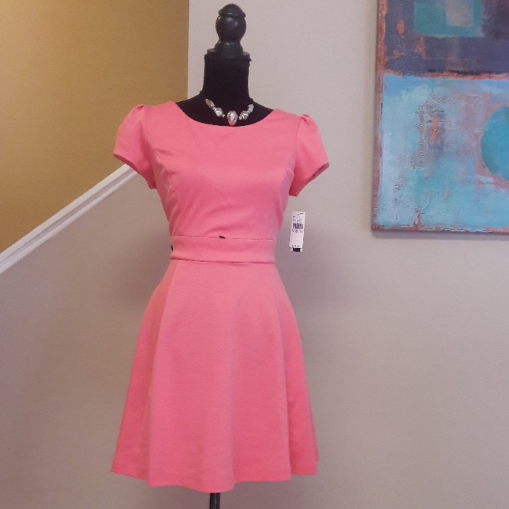 A.Beyer/ Pink/ Skater Dress